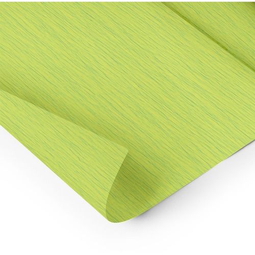 Papel Crepom Impermeavel 48cmx2m Verde Folha Ridet
