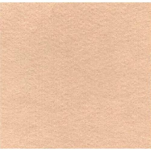 Feltro Liso Nude 50x70 180g - Santa Fe