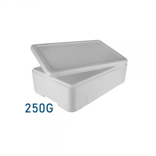 Caixa Para Sorvete 250g - Icebox