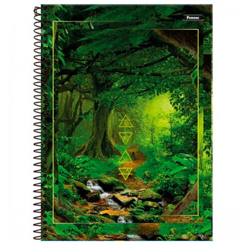 Caderno Universitario 20 Materias Capa Dura 4 Elementos 320fl Foroni