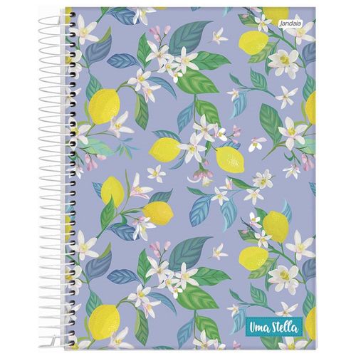 Caderno Universitario Stella Capa Dura 10 Materias C/160fl - Jandaia